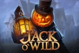 Jack O Wild slot thumbnail